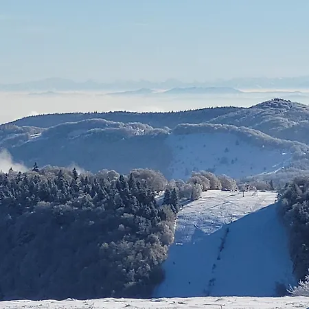 Lumineux Pour 2 Personnes Dans Les Hautes-vosges - Fr-1-589-811