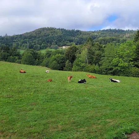 Apartment Lumineux Pour 2 Personnes Dans Les Hautes-vosges Le Thillot