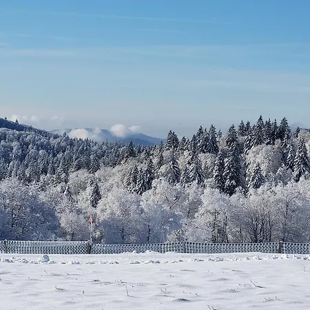 Apartment Lumineux Pour 2 Personnes Dans Les Hautes-vosges - Fr-1-589-811 Le Thillot