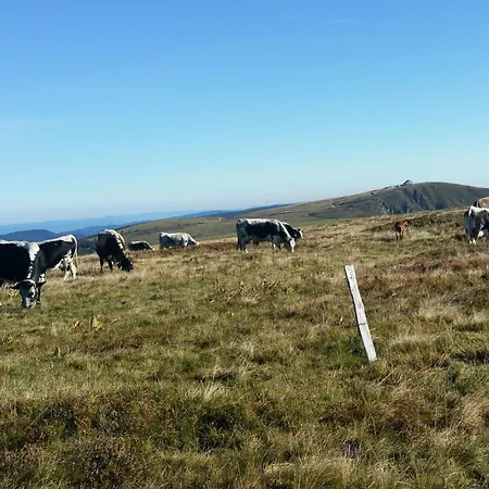 Lumineux Pour 2 Personnes Dans Les Hautes-vosges - Fr-1-589-811 Lejlighed