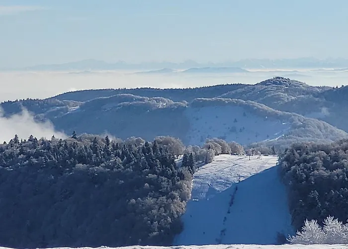 Lumineux Pour 2 Personnes Dans Les Hautes-vosges - Fr-1-589-811