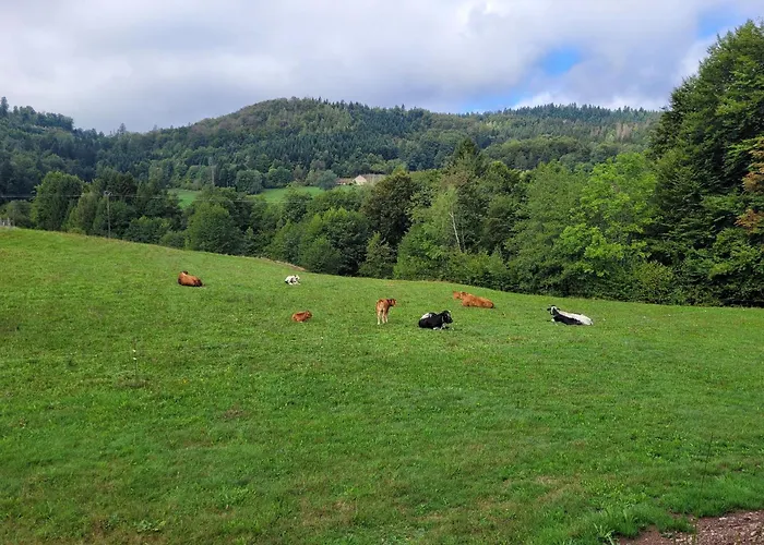 Апартаменты Lumineux Pour 2 Personnes Dans Les Hautes-vosges - Fr-1-589-811 Ле-Тийо