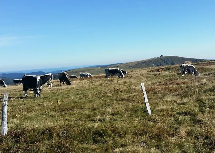 Lumineux Pour 2 Personnes Dans Les Hautes-vosges - Fr-1-589-811 Апартаменты