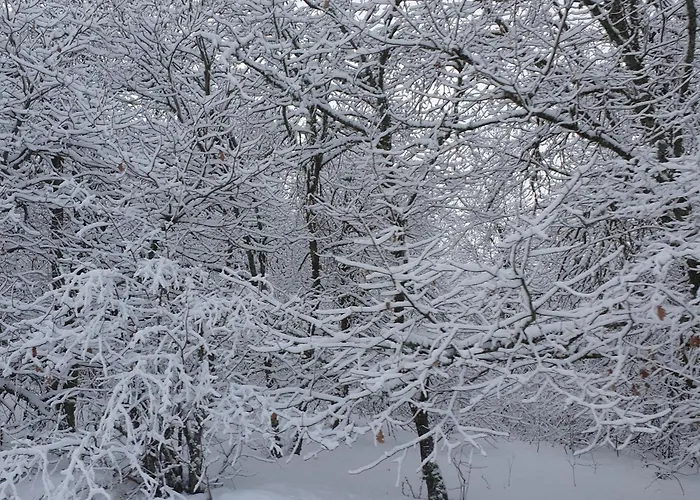 Lumineux Pour 2 Personnes Dans Les Hautes-vosges - Fr-1-589-811 Ле-Тийо